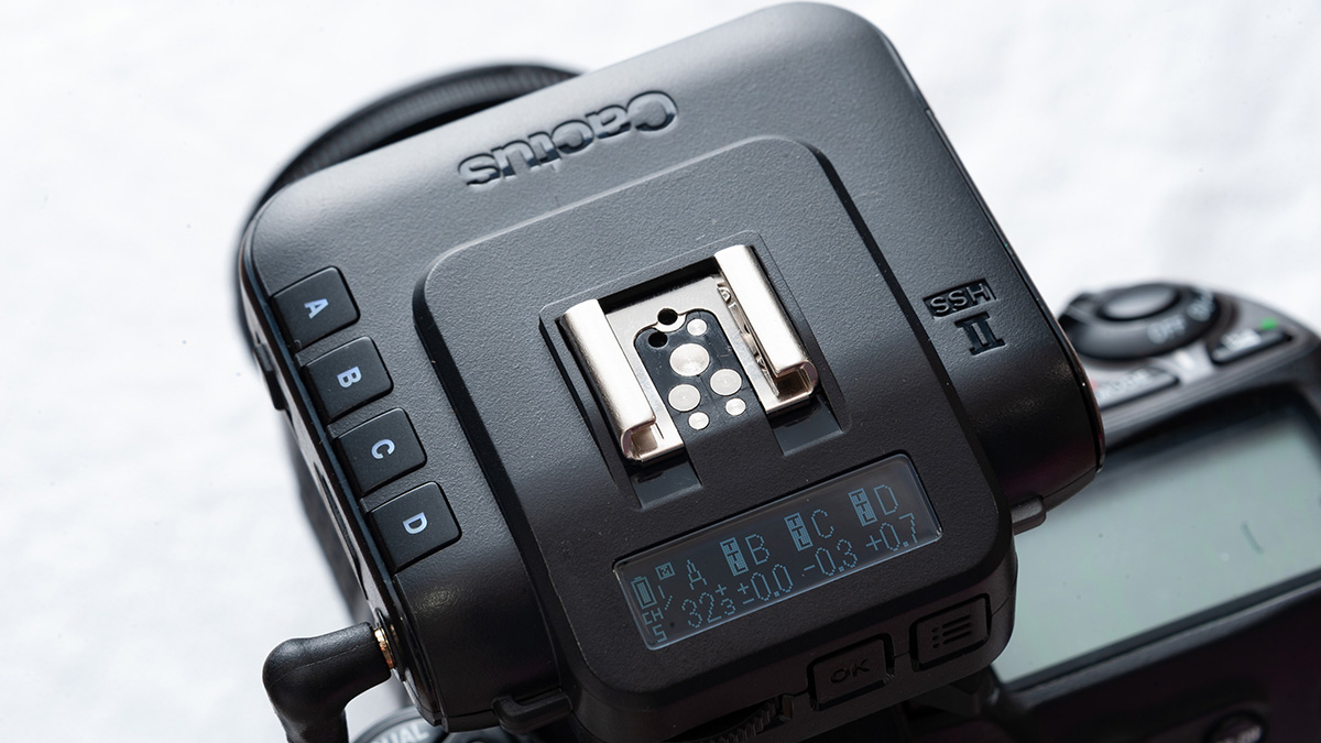 Pro review: Cactus V6 II wireless flash trigger | Professional  Photographers of America
