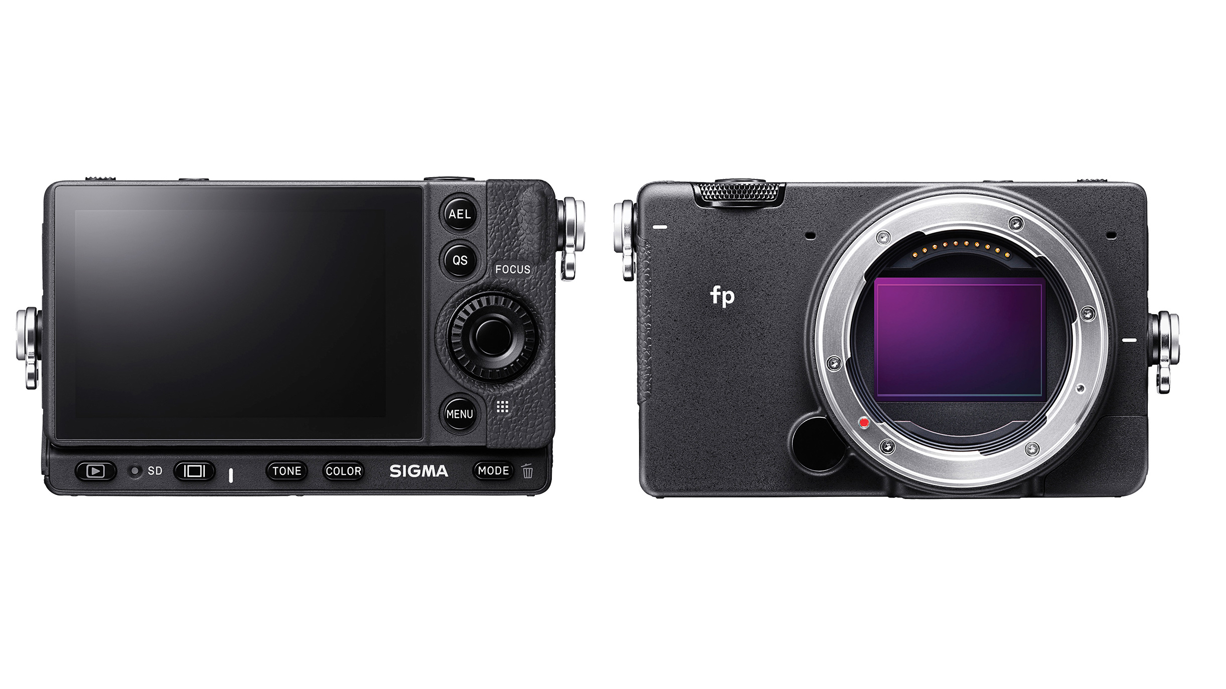 World's smallest full-frame mirrorless camera: Sigma FP | Professional  Photographers of America